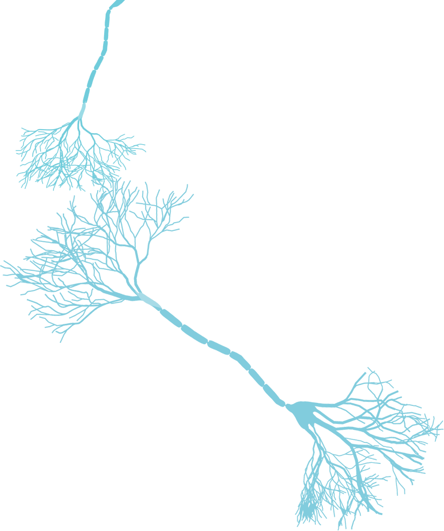 Ilustração de neuronios
